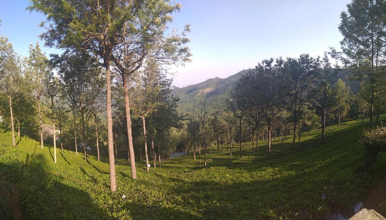 The Laughing Woods Ac Resort Котажирі Екстер'єр фото